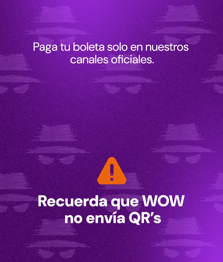 Pagar boleta